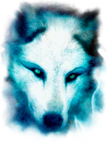 The_Wolves