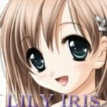 lily iris