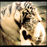 Mohan