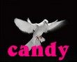 candy