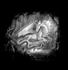 Cratures fantasy Dragon14