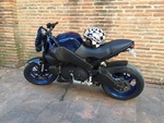 lolobuell12