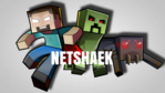 NETSHAEK