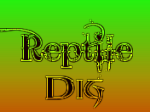 Reptile Dig