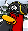 Rockhopper