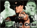 cena213