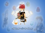 Nimble-VonShield