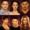 Breaking Dawn Part 1 60023410