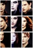 Breaking Dawn Part 2 Cullen11