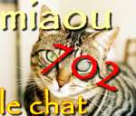 miaou702