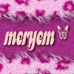 Gini-Meryem