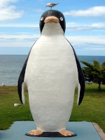 big penguin