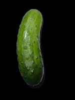 Gherkin