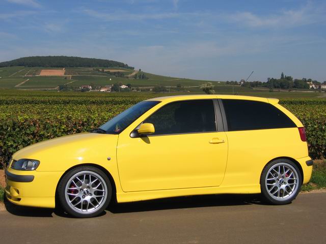 Seat Ibiza Cupra de mustang350gt