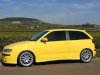 Seat Ibiza Cupra de mustang350gt