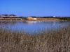 Laguna de Pétrola,guarderìa de flamencos