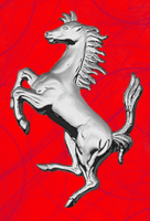 cavalino