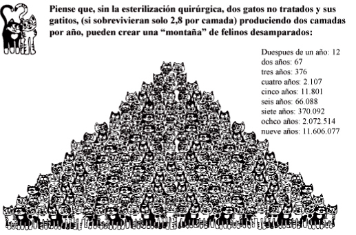 Salve a miles de animales castrando solo a uno!!