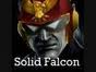 solidfalcon