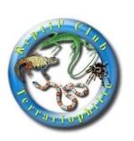 Reptil club