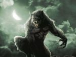 Lycans