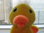 TheDuck
