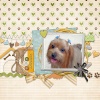 Programa Photoshop CS5

Kit I Love...My Pet by Maria Designs