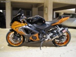 panthiras_gsxr_1000