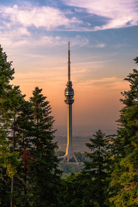 Avala00