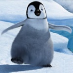 Happy Feet