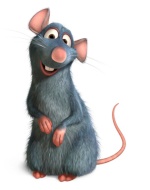 Ratatouille91