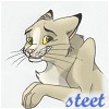 steet