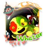 whetar