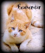 Featherstar