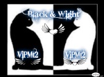 Black&Wight