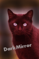 DarkMirror