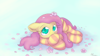 Flutter♥♥shy