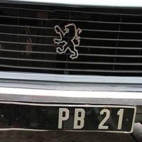Pb21