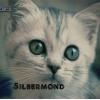 Silbermond