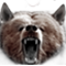 BearDogsChief