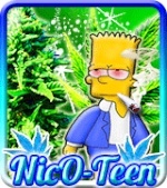 Nic0-Teen