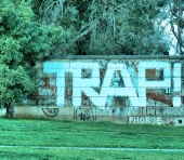 Trap