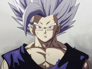 Vegeta 5672-16