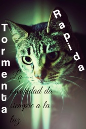 Tormenta Rápida