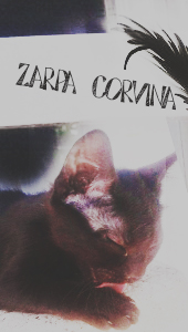 Zarpa Corvina