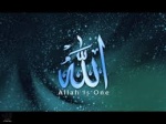 المكتبة الإسلامية الشاملة 4-8