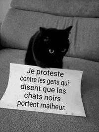 LE CHAT NOIR