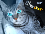 Silverstar