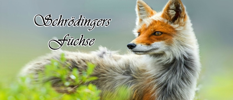 Schrödingers Füchse - Titelbild