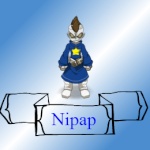 Nipap